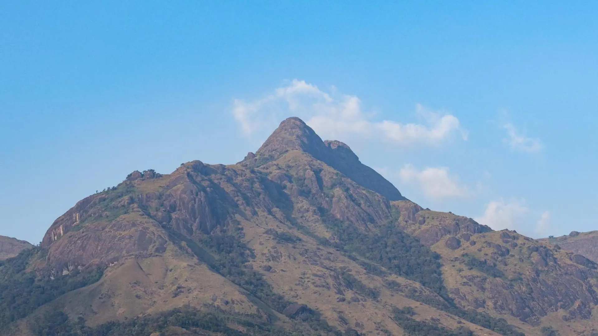 Eterno Camellia & Elettaria Resort With Pool Munnar