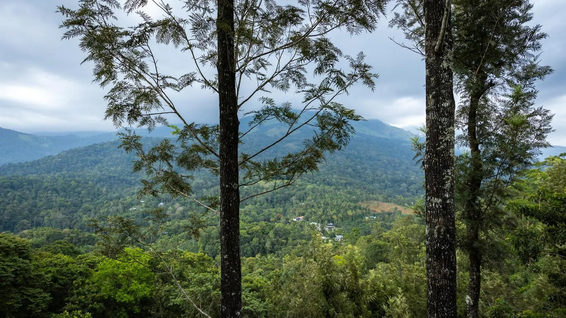 Eterno Camellia & Elettaria Resort With Pool Munnar