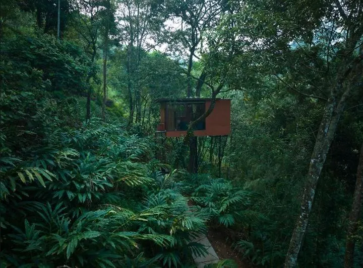 Eterno Camellia & Elettaria Resort With Pool Munnar